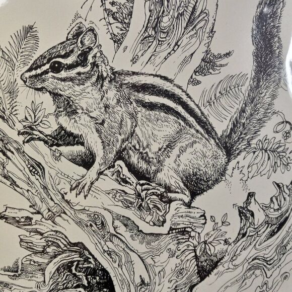 Paul Lee Drawing #27/95 1st ed. "Woodlot Jester: Chipmunk" 1975-85 - Picture 3 of 8